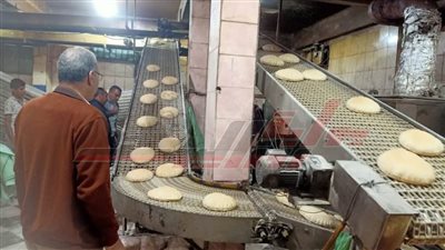 تحرير 5 محاضر مخالفات تموينية بكفر الشيخ 