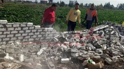 إزالة 3 حالات تعد على الأرض الزراعية بكفر الشيخ 