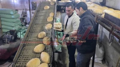 تحرير 10 محاضر لمخالفات تموينية في كفر الشيخ 