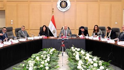 خطة لإقامة مدينة متكاملة لتصنيع إطارات السيارات والصناعات المغذية لها  