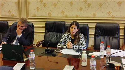 طلب إحاطة بشأن افتتاح فندق قصر ثقافة الغردقة بمحافظة البحر الأحمر