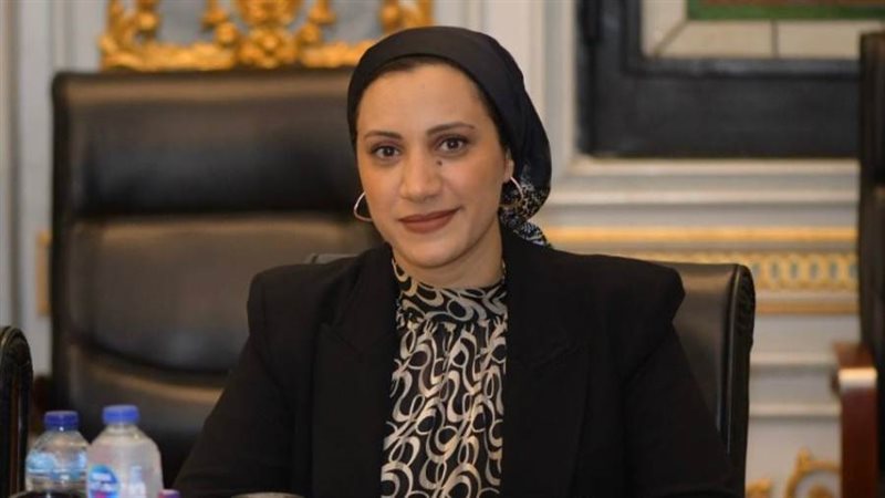 النائبة آية مدني