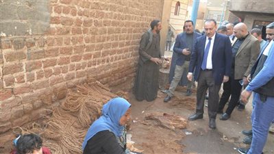 محافظ أسيوط يتفقد ورش لصناعة منتجات من ألياف النخيل بمركز ساحل سليم