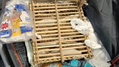  أجهزة  الأمن بمطار برج العرب تحبط  محاولة تهريب صقور حية 