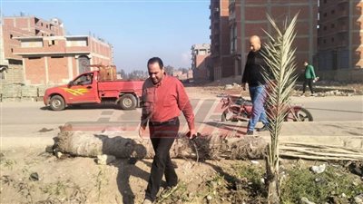 استمرار زراعة الأشجار بسيدي سالم ضمن المبادرة الرئاسية 