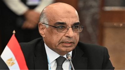  وزير العدل: توجيهات الرئيس السيسي 