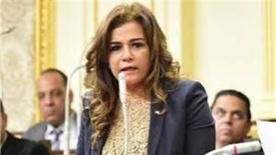 سياحة النواب: رقمنة قصور الثقافة تحافظ على التراث والهوية ونحتاج للتوعية بها