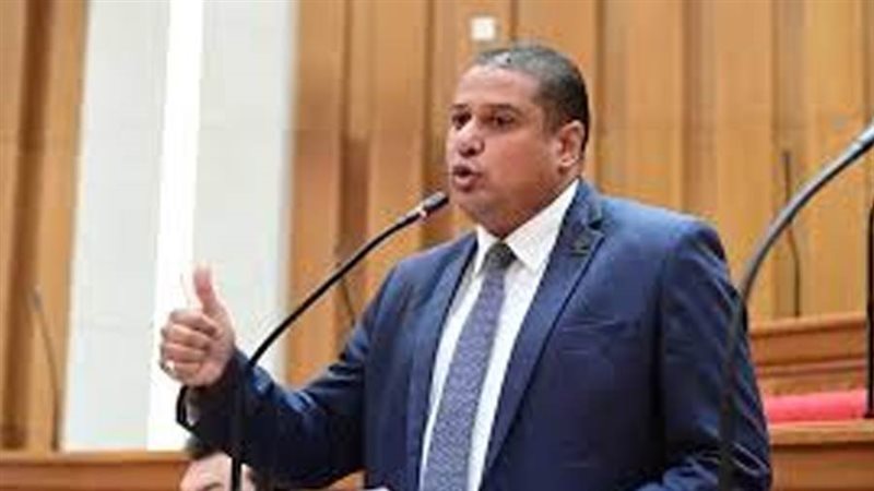 نائب التنسيقية محمد