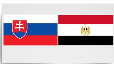 مصر وسلوفاكيا تبحثان تعزيز العلاقات خلال جولة المشاورات السياسية بالقاهرة