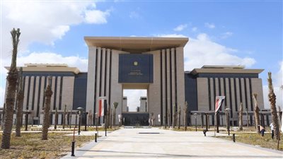 وزارة الخارجية والهجرة: إنهاء مشكلة 102 مواطن مصري عالقين بالمدينة المنورة