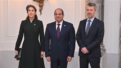 الرئيس السيسي يؤكد تطلعه لتعزيز العلاقات الثنائية بين مصر والدنمارك في جميع المجالات