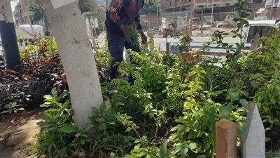  بالصور.. محافظ الغربية يدعو الجمعيات الأهلية والمبادرات الشبابية للمشاركة في حملات التشجير