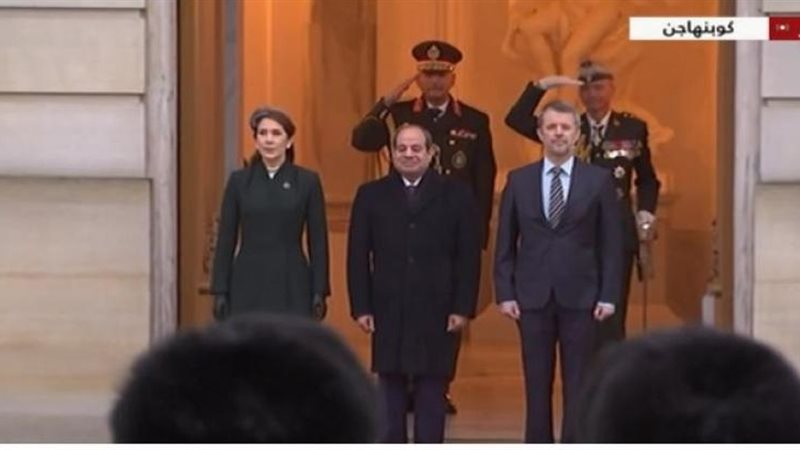 الرئيس السيسي يصل