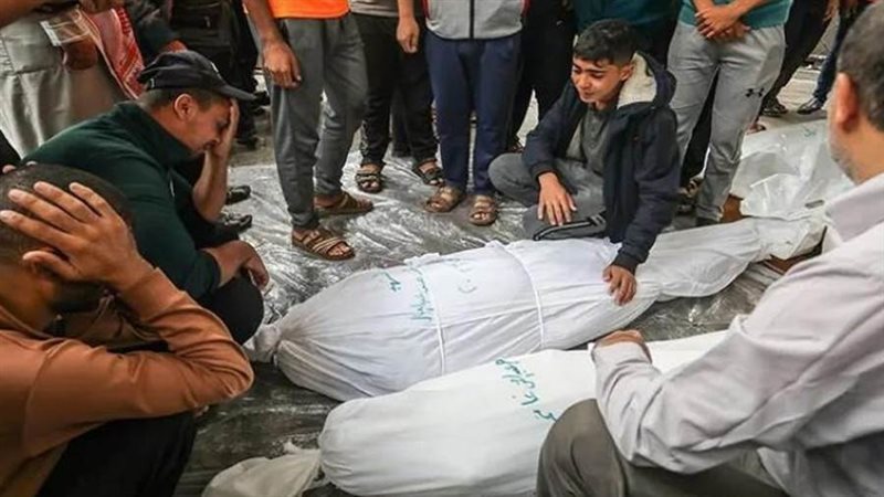 الشهداء والجرحى في