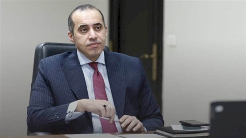 المستشار محمود فوزي