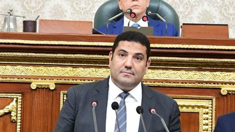 النائب أحمد عبدالمجيد