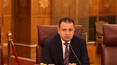 أمين العلاقات الخارجية بـ«حماة وطن»: تعزبز مبدأ الدولة الوطنية ضمان لسيادة الدول