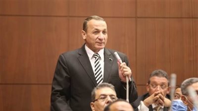 رئيس برلمانية حماة الوطن بالشيوخ: مشروع قانون التصرف بأملاك الدولة ينظم تقنين وضع اليد