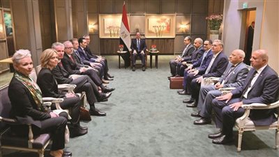 عاجل.. الرئيس السيسي يثمن التعاون القائم بين مصر والشركات النرويجية بمجال الاستثمار الأخضر