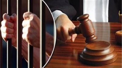 تأجيل محاكمة ربة منزل و3 متهمين آخرين بخطف شخص وقتله بطوخ