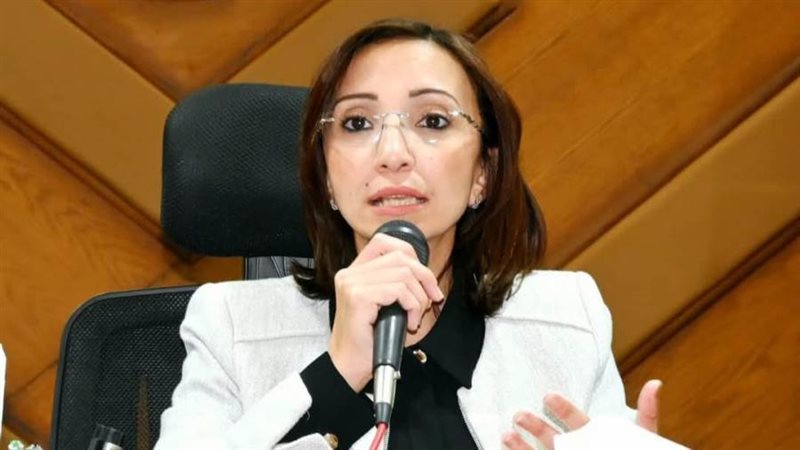 محافظ البحيرة