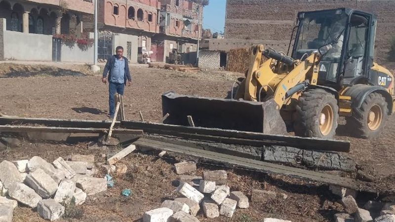 جانب من الجملة