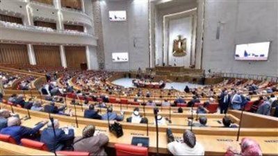 نواب: جولة الرئيس السيسي الأوروبية خطوة لتعزيز العلاقات الاقتصادية مع دول الاتحاد 