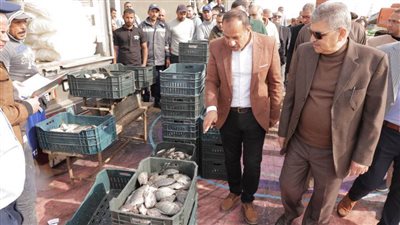 الفريق ربيع: