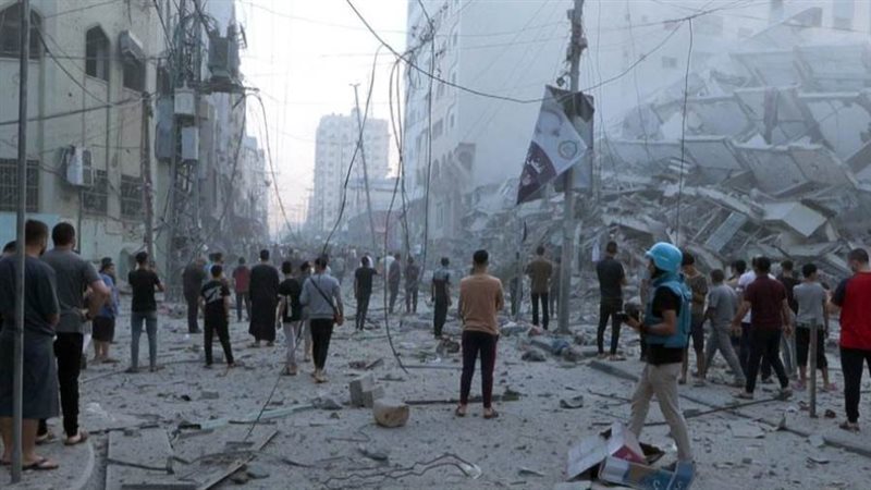 بوابة روز اليوسف