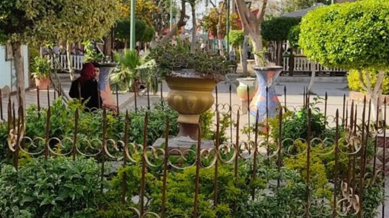 تطوير حديقة الطفل