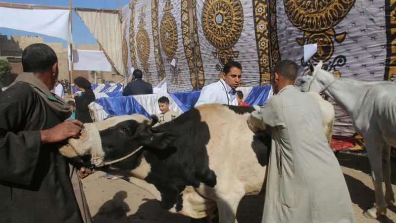 قافله بيطريه مجانيه