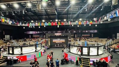 7 مصريين في منافسات نصف نهائي بطولة العالم للفنون القتالية المختلطة «MMA»