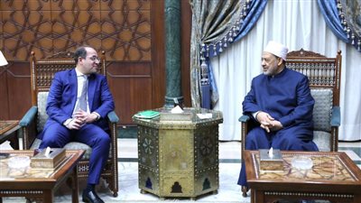 شيخ الأزهر يستقبل وزير المالية