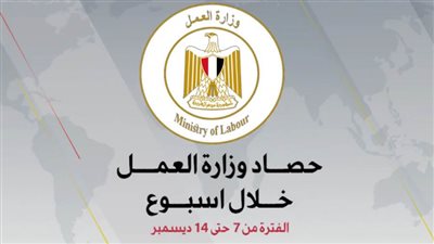 مسؤولة هيئات الأمم المتحدة في مصر تشيد بجهود 