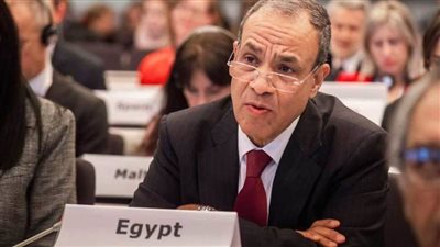 وزير الخارجية : الدولة تولي أقصى درجات الاهتمام والعناية بجالياتنا بالخارج