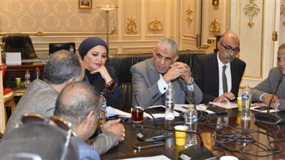 تأجيل مناقشة طلبات عمل الصناديق الخاصة لحين حضور وزير المالية ورئيس المركزي للتنظيم والإدارة