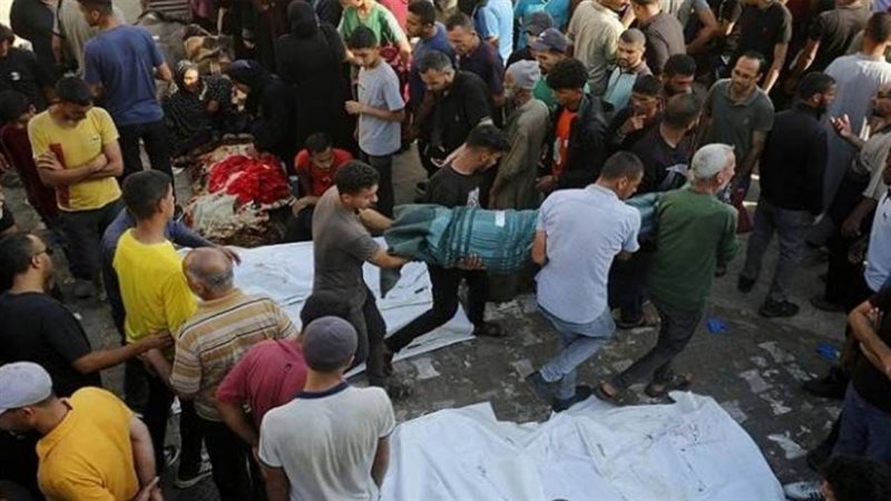 بوابة روز اليوسف