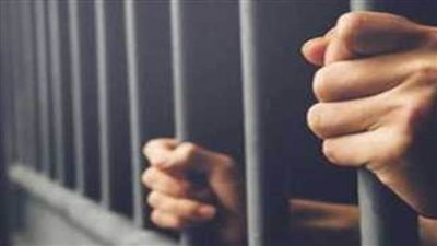 إحالة فران تعدى على فتاة في شبين القناطر للمفتي 