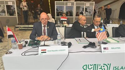 العريان يمثل مصر في اجتماع الجمعية العمومية للتضامن الإسلامي