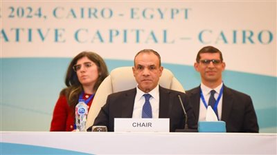 وزير الخارجية يترأس اجتماع منظمة الدول الثماني النامية للتعاون الاقتصادي