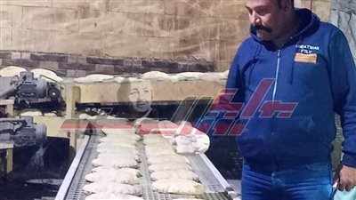 تحرير 5 محاضر لمخالفات تموينية بالرياض في كفر الشيخ