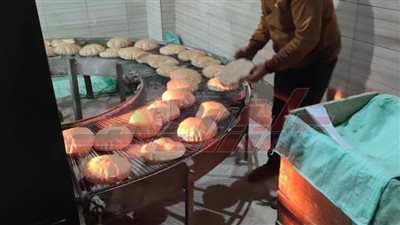 تحرير 5 محاضر لمخالفات تموينية بالرياض في كفر الشيخ 