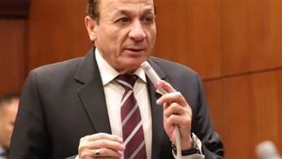 برلمانية «حماة الوطن بالشيوخ» توافق على مشروع قانون المسئولية الطبية: 