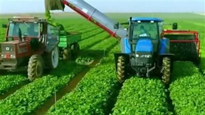 1.5% إجمالي المساحات المزروعه عام 2023.2022