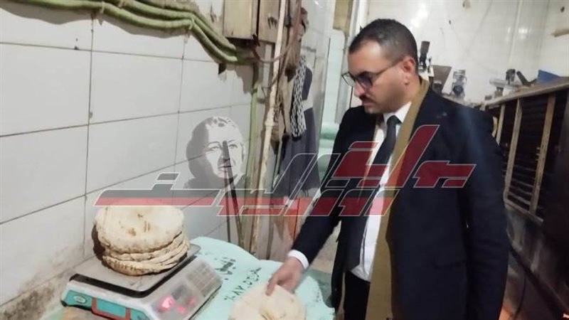 الحملة التفتيشية