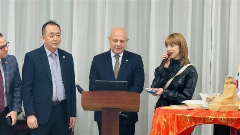 السفير المصري في