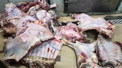 ضبط 13 طنًا من اللحوم البلدي والمستوردة غير صالحة للاستهلاك الأدمي بأسوان