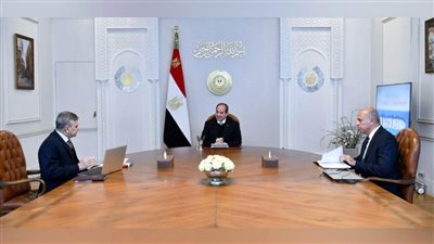 الرئيس السيسي يشدد على ضرورة تعظيم العائد الاقتصادي للموانئ المطلة على المجرى الملاحي لقناة السويس