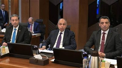 برئاسة مدبولي.. محافظ المنيا يشارك في الاجتماع الرابع لمجلس المحافظين