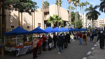 للأسبوع الثالث على التوالي.. استمرار فعاليات سوق اليوم الواحد بالبحيرة
